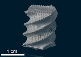 Liquid Crystal Polymer